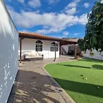 Palmera Dorada