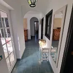 Palmera Dorada *