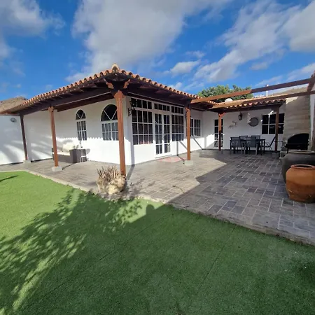 Palmera Dorada *