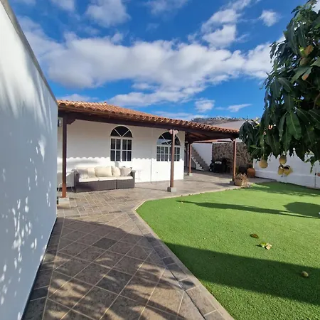 Palmera Dorada