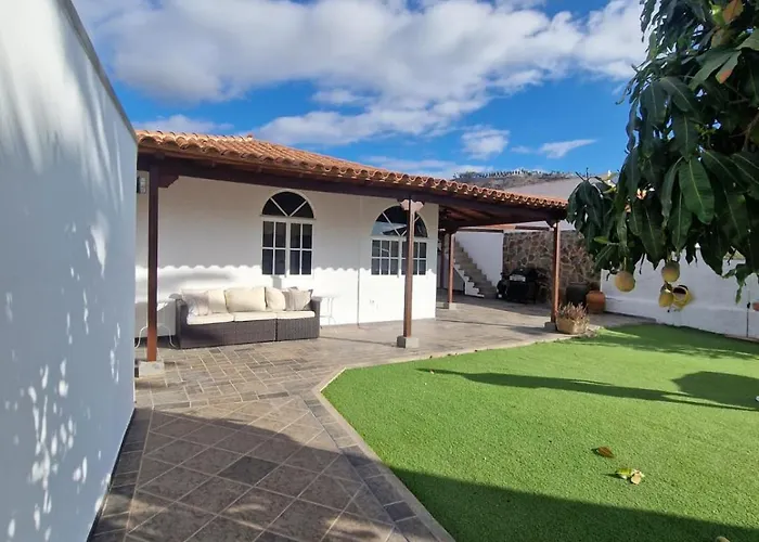 Palmera Dorada